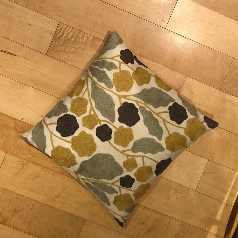 West Elm pillow